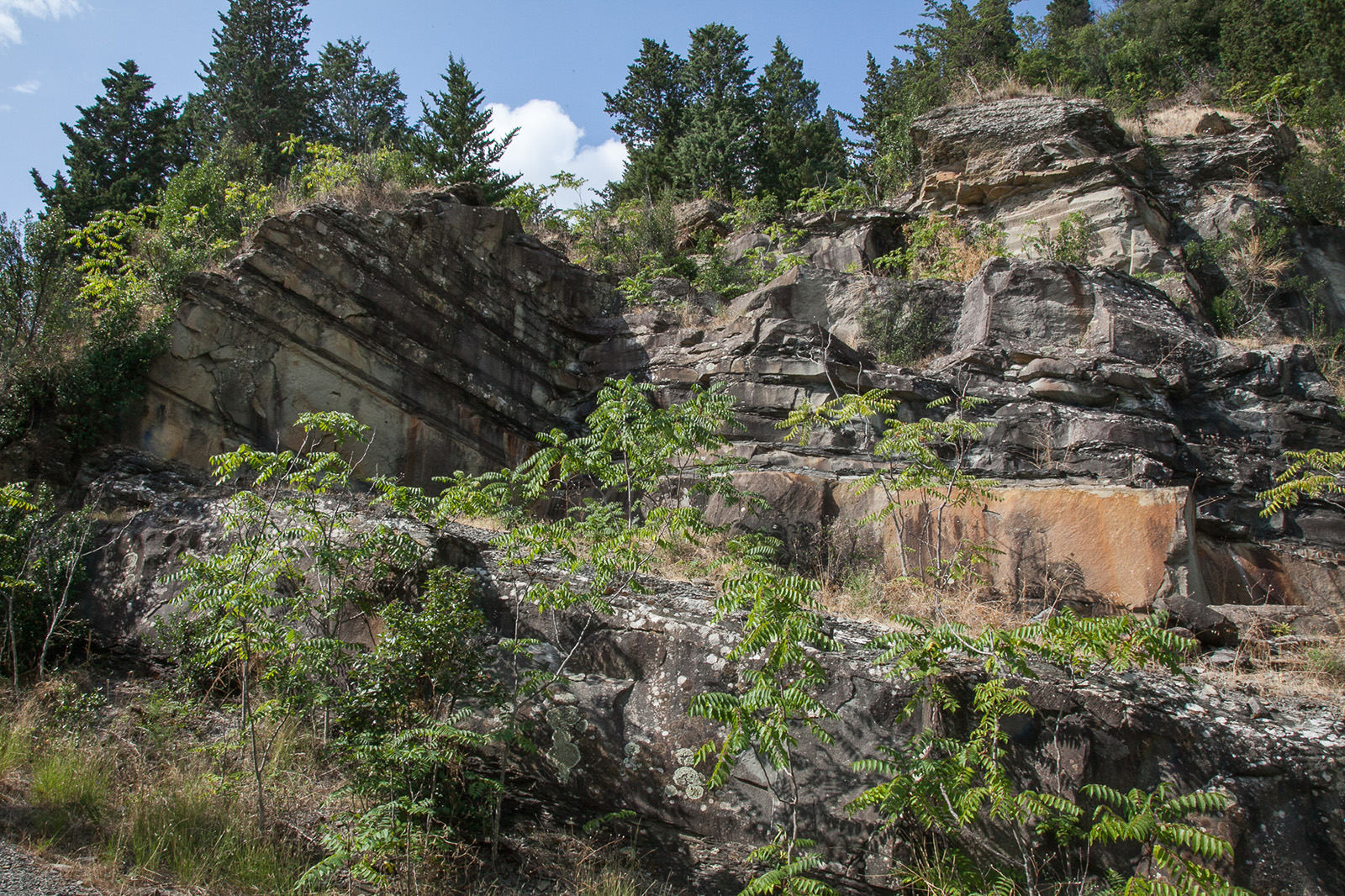 Sandstone quarry at Monte Ceceri, near Fiesole